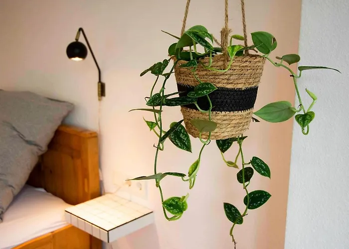 Apartment Wennequartier